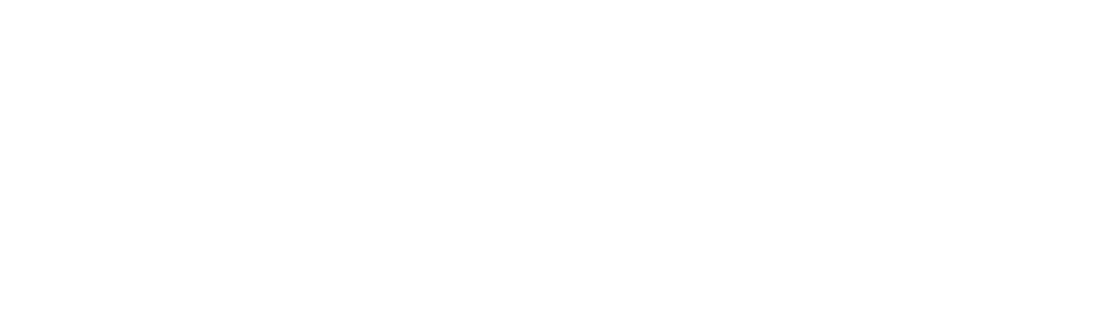 Nitea Bilsystem logotyp